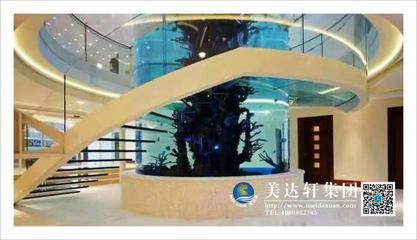 觀賞魚水族館設(shè)計圖（觀賞魚水族館設(shè)計圖可以幫助您更好地規(guī)劃和設(shè)計） 水族品牌 第1張