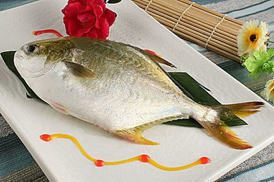 斗鯧魚（斗鯧魚的營(yíng)養(yǎng)解析）