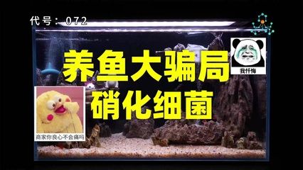 觀賞魚騙局（互聯(lián)網(wǎng)時代的消費者購買觀賞魚的美麗是一項必備技能） 過濾設(shè)備 第4張