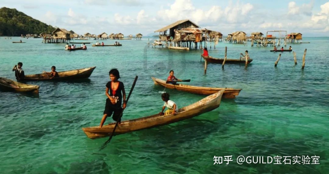 觀賞魚(yú)生意怎么樣好做嗎知乎（觀賞魚(yú)產(chǎn)業(yè)鏈價(jià)值重塑產(chǎn)業(yè)鏈價(jià)值重塑觀賞魚(yú)產(chǎn)業(yè)鏈價(jià)值） 沖氧泵 第3張