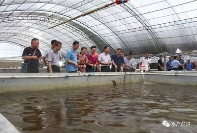 海南海水觀賞魚(yú)繁殖基地（海南海水觀賞魚(yú)繁殖基地是海水觀賞魚(yú)產(chǎn)業(yè)的重要性） 充氧泵 第1張