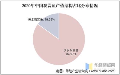 花卉觀賞魚(yú)市場(chǎng)怎么樣啊現(xiàn)在怎么樣（花卉觀賞魚(yú)市場(chǎng)分析研究報(bào)告：2022年我國(guó)觀賞魚(yú)需求穩(wěn)定） 其它水族用具設(shè)備 第2張