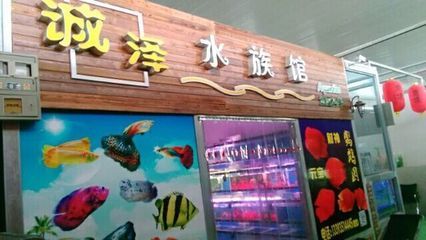 觀賞魚門店名字（中華觀賞魚文化探秘） 赤荔鳳冠魚 第1張