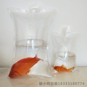 觀賞魚可以快遞回家嗎視頻（觀賞魚可以快遞回家嗎） 過濾設(shè)備 第3張