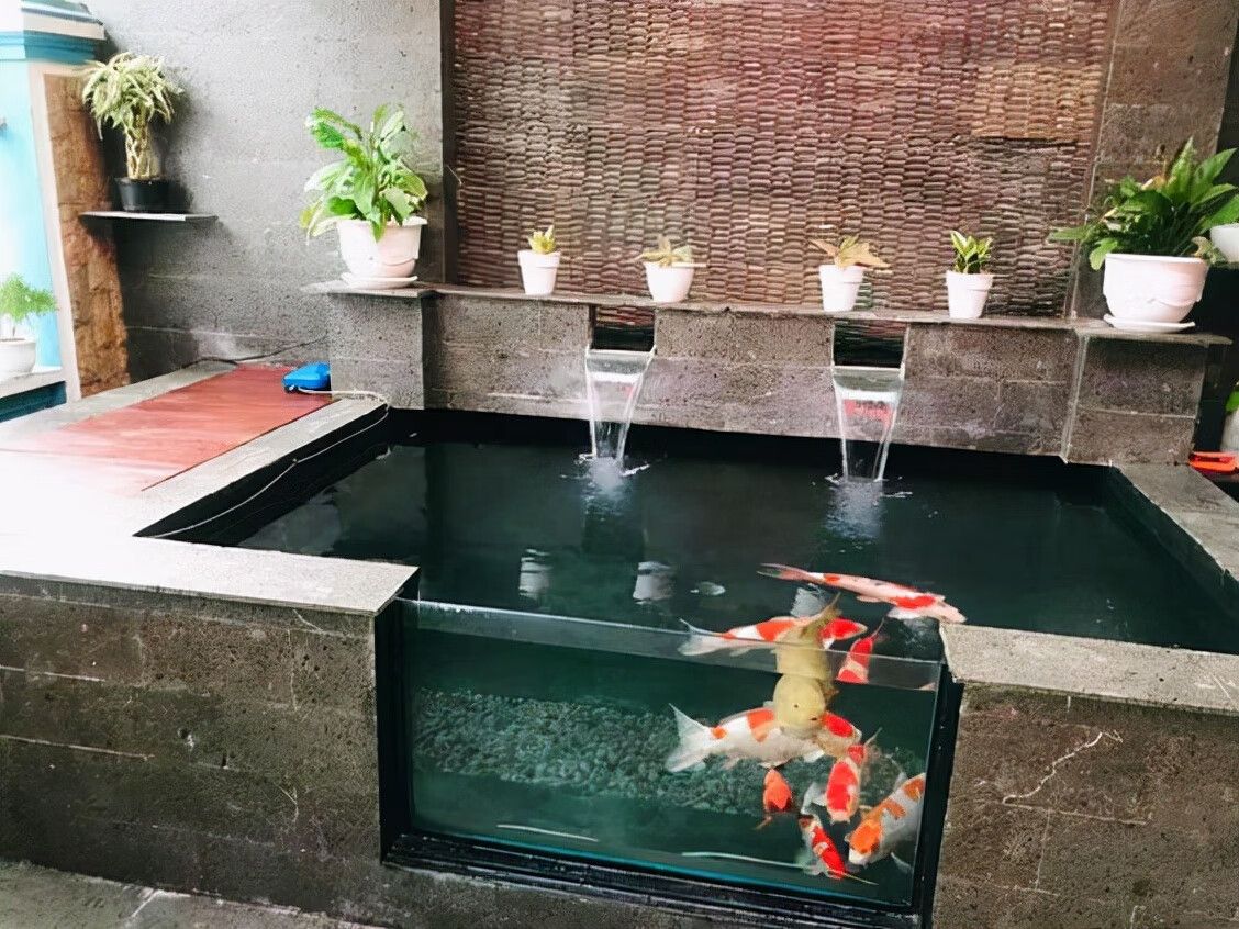 花園魚池風水布局（花園魚池在風水學中的應用） 水族燈（魚缸燈） 第2張