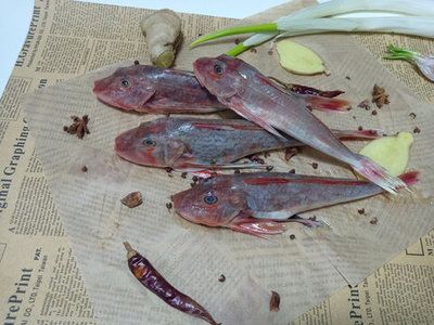 紅頭魚觀賞魚（紅頭魚是一種常見的食用魚品種紅頭魚的養(yǎng)殖技巧）