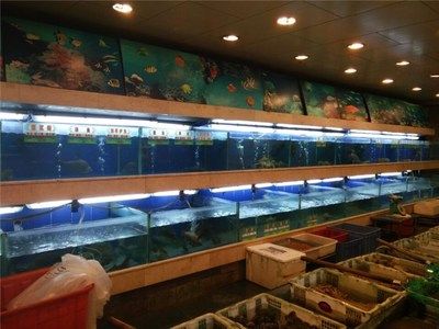 廣州水族批發(fā)市場有哪些地方賣海鮮的（廣州十大海鮮批發(fā)市場） 魚缸風(fēng)水 第3張