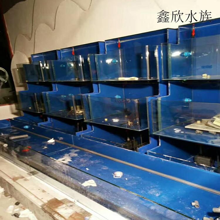 廣州水族批發(fā)市場有哪些地方賣海鮮的（廣州十大海鮮批發(fā)市場） 魚缸風(fēng)水 第4張