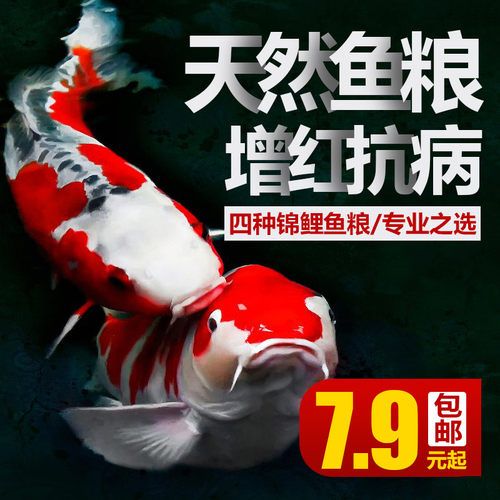 觀賞魚品牌介紹（觀賞魚十大品牌排行榜2024觀賞魚十大品牌排行榜）