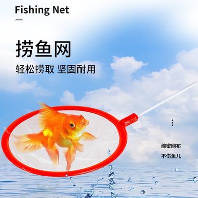 觀賞魚撈魚網(wǎng)（撈魚網(wǎng)是飼養(yǎng)觀賞魚必備的工具） 黑桃A魚 第1張