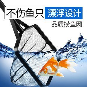 觀賞魚撈魚網(wǎng)（撈魚網(wǎng)是飼養(yǎng)觀賞魚必備的工具） 黑桃A魚 第4張