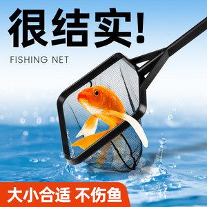 觀賞魚撈魚網(wǎng)（撈魚網(wǎng)是飼養(yǎng)觀賞魚必備的工具） 黑桃A魚 第3張