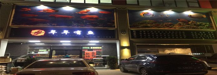 觀賞魚連鎖店排名前十名有哪些（觀賞魚連鎖店排名前十名）