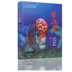 大型的觀賞魚（大型觀賞魚的種類及其特點(diǎn)） 龍魚專用燈 第3張