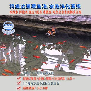 觀賞魚水池怎么凈化（觀賞魚水池凈化技術(shù)） 觀賞魚水族批發(fā)市場 第1張