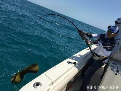 釣鯊魚（全球釣鯊魚大賽全球各地舉辦的各種釣鯊魚大賽不僅是競技舞臺） 紅魔王銀版魚 第4張