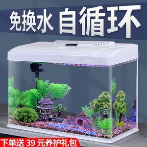 古典金龍藍缸養(yǎng)（古典金龍的飼養(yǎng)方法） 黃寬帶蝴蝶魚 第4張