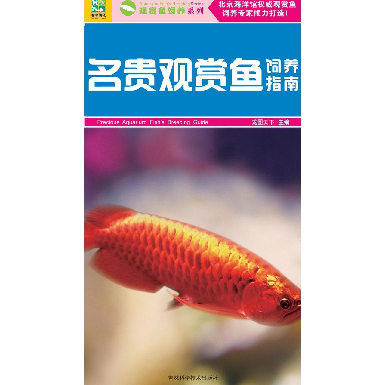 各類觀賞魚的飼養(yǎng)方式（觀賞魚的飼養(yǎng)技術(shù)） 黑白雙星 第3張