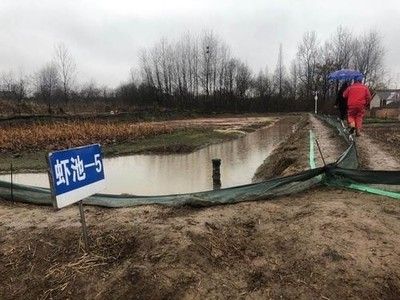 廣東觀賞魚鑒定機構(gòu)名單（觀賞魚鑒定機構(gòu)哪家好） 大嘴鯨魚 第3張