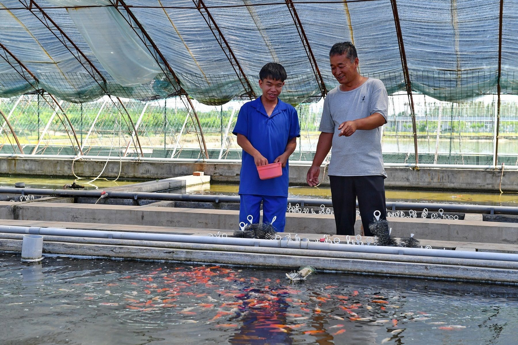 黑莊戶觀賞魚交易中心（北京黑莊戶觀賞魚交易中心）