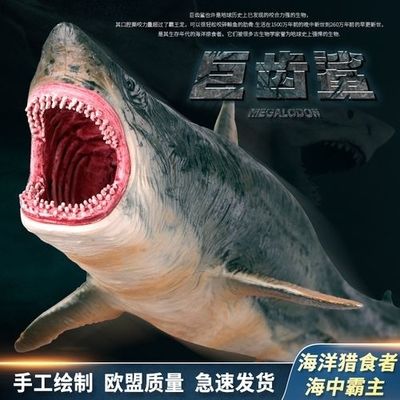 大白鯊魚活魚（大白鯊魚是一種怎樣的魚類？）