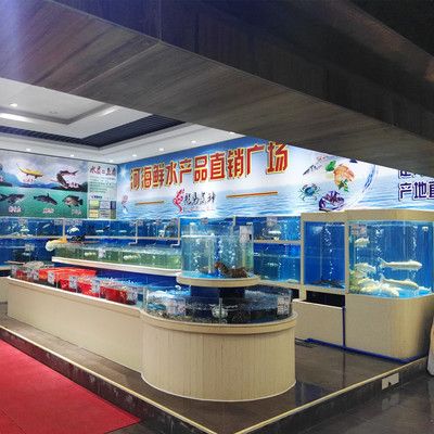 海鮮市場觀賞魚有哪些品牌（2024海鮮市場觀賞魚品牌大全） 非洲象鼻魚 第4張