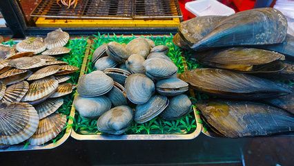 海鮮市場觀賞魚有哪些品牌（2024海鮮市場觀賞魚品牌大全） 非洲象鼻魚 第3張