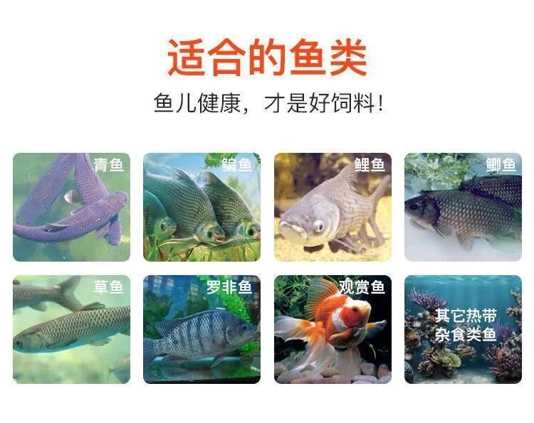 觀賞魚類養(yǎng)殖課件（c海水觀賞魚的養(yǎng)護(hù)秘籍） 和興紅龍 第3張