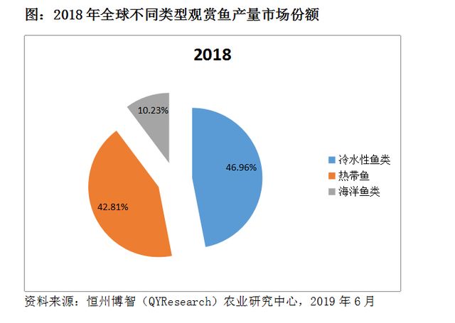 海水觀賞魚(yú)市場(chǎng)前景（全球觀賞魚(yú)市場(chǎng)規(guī)模在2022年達(dá)到54.98億美元）