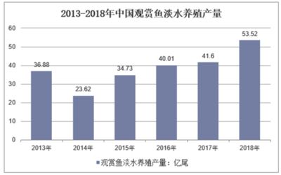 觀賞魚市場調(diào)查報告范文（觀賞魚市場市場調(diào)查報告范文） 黑水素 第1張