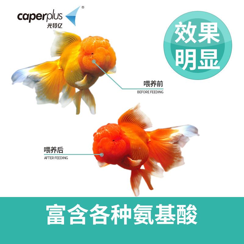 光特億金魚飼料小顆粒增色專用小型觀賞淡水魚錦鯉魚糧通用型魚食（光特億金魚飼料小顆粒增色專用小型觀賞淡水魚糧通用型魚食） 斑馬鴨嘴魚苗 第3張