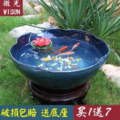 大金魚缸養(yǎng)什么蓮花好（在大金魚缸中養(yǎng)蓮花需要注意以下幾個問題）