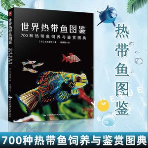 觀賞魚海魚怎么養(yǎng)活（養(yǎng)觀賞魚海魚需要注意以下幾個(gè)方面） 巴卡雷龍魚 第4張