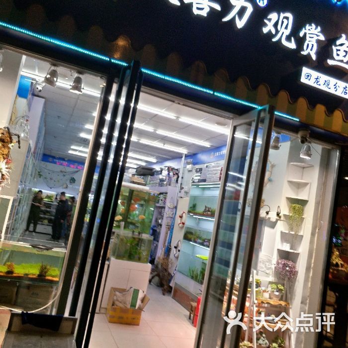 觀賞魚店加盟費(fèi)多少錢一個(gè)月（加盟觀賞魚店需要多少錢） 鐵甲武士 第2張