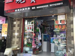 觀賞魚店鋪介紹文案怎么寫（光臨【觀賞魚店鋪的營(yíng)銷策略有效的營(yíng)銷策略） 慈雕魚 第3張