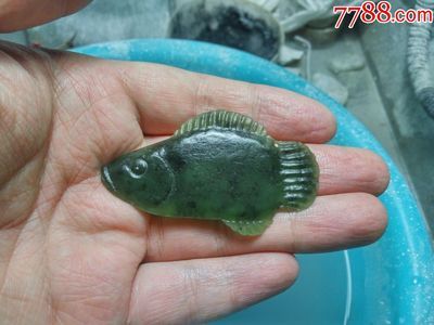 100萬的金龍魚視頻在線觀看免費(fèi)下載（關(guān)于金龍魚的視頻素材） 祥龍水族濾材/器材 第3張