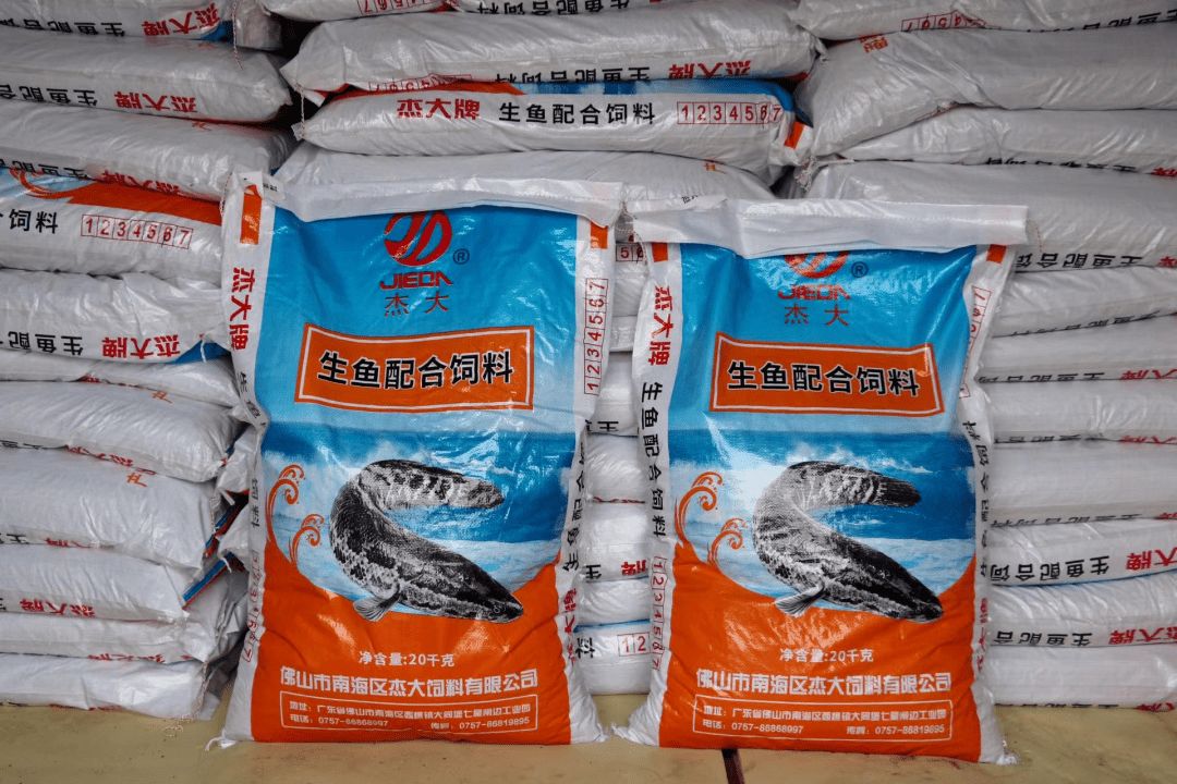 高龍魚飼料（根據(jù)搜索結(jié)果推薦的高龍魚飼料品牌及其特點(diǎn)） 祥龍水族濾材/器材 第1張