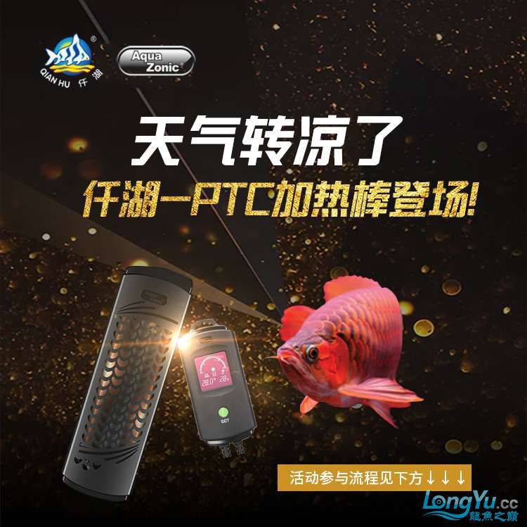 仟湖PTC加熱棒試用反饋（中獎的魚友們應(yīng)該都收到ptc加熱棒的獎品，抓緊體驗哦） 觀賞魚論壇 第1張