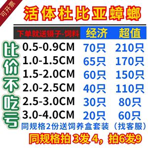 18厘米的龍魚要吃多少飼料呢（18厘米的龍魚一天喂多少魚料一天吃多少小魚） 祥龍水族濾材/器材 第2張