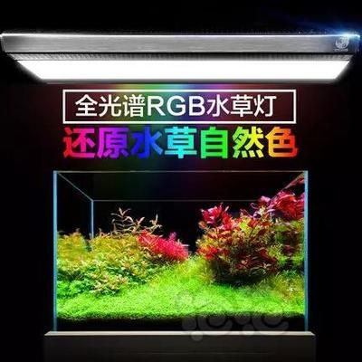 瘋狂石頭rgb水草燈怎么樣（用戶對瘋狂石頭rgb水草燈的評價(jià)褒貶不一用戶建議詳細(xì)了解） 祥龍水族濾材/器材 第2張