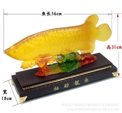 18厘米龍魚喂什么（18厘米大小的龍魚應(yīng)該怎么養(yǎng)） 祥龍水族濾材/器材 第2張