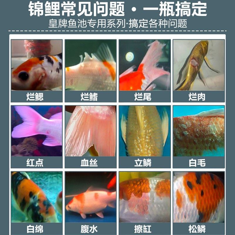 海豚消化細菌測評（海豚硝化細菌產(chǎn)品99%都是假的，養(yǎng)魚專家亮哥亮哥提到） 祥龍水族濾材/器材 第3張