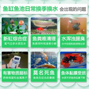 海豚硝化細(xì)菌有臭味（硝化細(xì)菌產(chǎn)品散發(fā)出臭味可能是由于以下幾個原因?qū)е碌模? title=