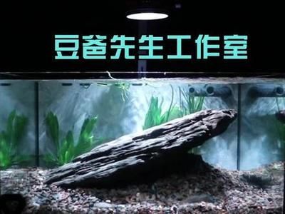 廣州水鴉魚缸（廣州水鴉魚缸公司） 祥龍水族濾材/器材 第1張