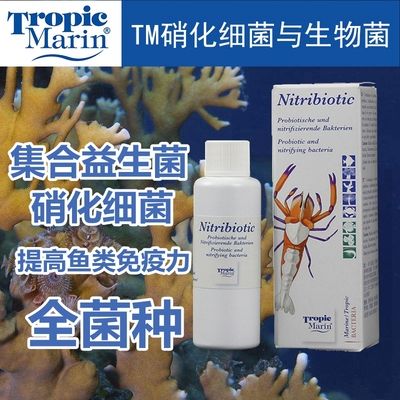 海水硝化細菌（海水硝化細菌在海洋生態(tài)系統(tǒng)中扮演著至關重要的角色） 祥龍水族濾材/器材 第2張