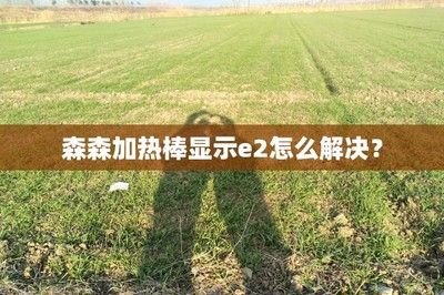 光特億加熱棒顯示E2怎么解決（光特億加熱棒顯示e2） 祥龍水族濾材/器材 第3張