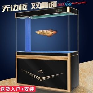 1米缸養(yǎng)龍魚成功率多少（1米缸可以養(yǎng)龍魚嗎1米缸養(yǎng)龍魚的成功率并不高） 祥龍水族濾材/器材 第3張