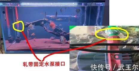 1.5米龍魚缸用多大水泵（魚缸1.5米揚(yáng)程需要多大瓦數(shù)的潛水泵360問答） 祥龍水族濾材/器材 第1張