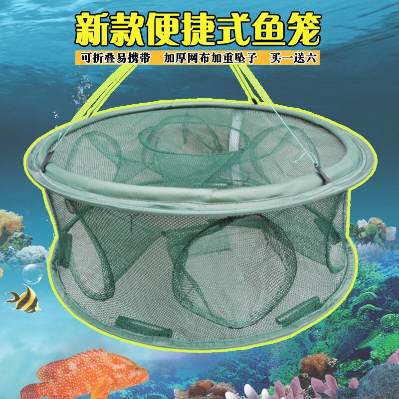 互動的觀賞魚有哪些品種的蝦（觀賞蝦混養(yǎng)時需要注意的品種是根據(jù)搜索結(jié)果整理的信息） 斑馬鴨嘴魚 第2張