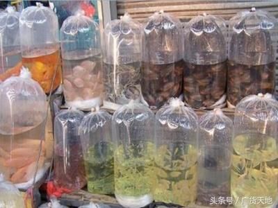 海水觀賞魚批發(fā)市場價格（海水觀賞魚批發(fā)市場價格受多種因素影響海水觀賞魚市場價格） 彩鰈魚缸（彩蝶魚缸） 第1張